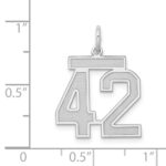 Sterling Silver/Rhodium-plated Satin Number 42 Charm - Image 3