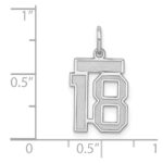 Sterling Silver/Rhodium-plated Satin Number 18 Charm - Image 3