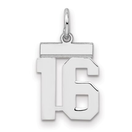 Sterling Silver/Rhodium-plated Polished Number 16 Charm