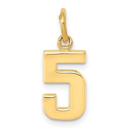 14k Small Polished Number 5 Charm