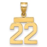 14k Small Polished Number 22 Charm
