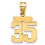 14k Small Polished Number 35 Charm