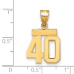14k Small Polished Number 40 Charm - Image 2