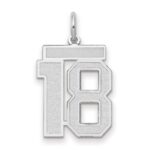 14kw Medium Satin Number 18 Charm