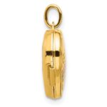 14K with Rose and White Rhodium CHASE THE RAINBOW 15mm Heart Locket - Image 2