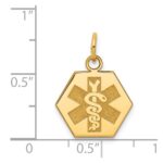 14k 15mm Hexagon Non-enameled Medical Jewelry Pendant - Image 3