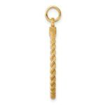 14k Plain .013 Gauge Round Engravable 24.9mm Disc with Rope Edge Charm - Image 2