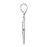 14k White Gold Polished and Satin Hollow Miraculous Medal Round Pendant - Image 2