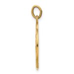 14k Polished and Satin Solid St Luke Medal Round Pendant - Image 2