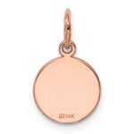 14k Rose Gold Plain .013 Gauge Round Engraveable 10mm Disc Charm - Image 3
